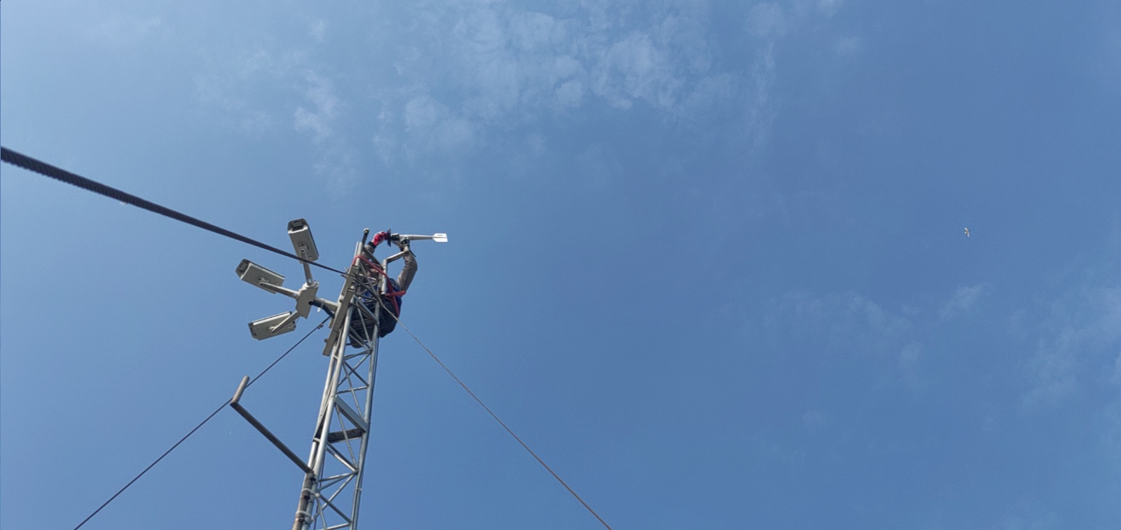 绥中天龙寺渔港站-风向风速传感器