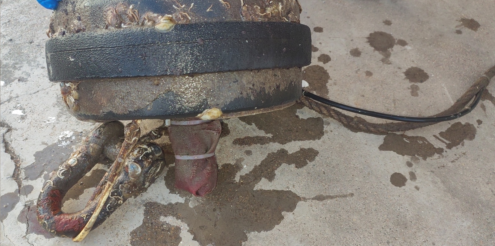 锦州中心渔港站-温盐传感器