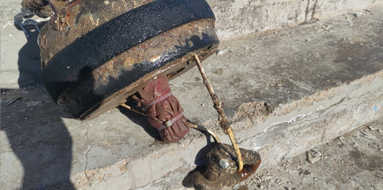 锦州中心渔港站-温盐传感器