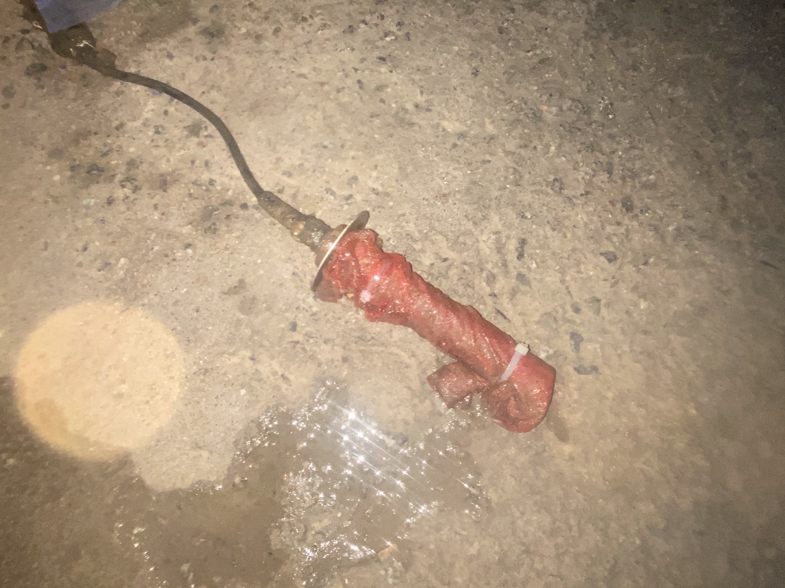 光辉码头点-温盐传感器