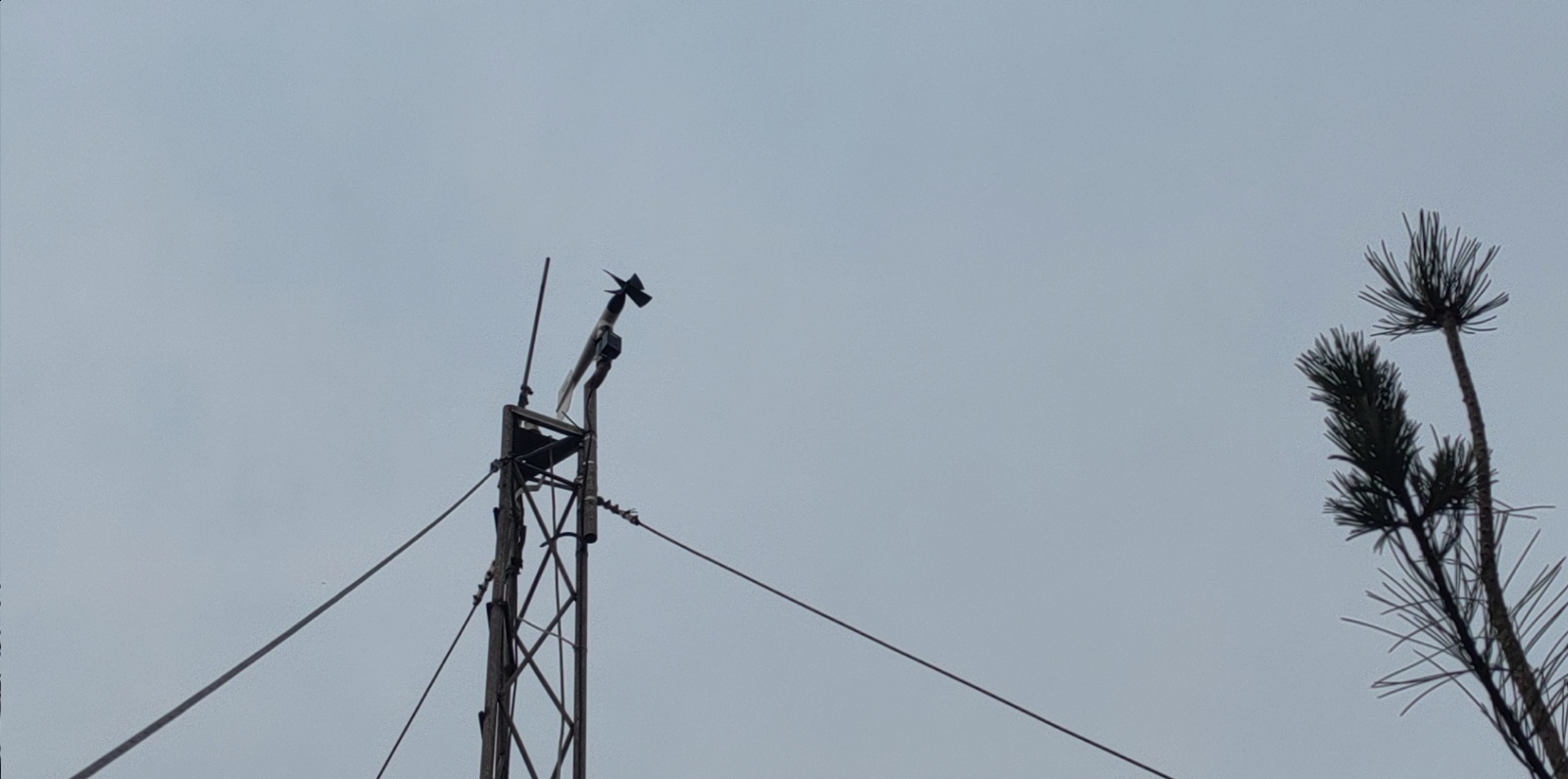 丹东大鹿岛站-风向风速传感器