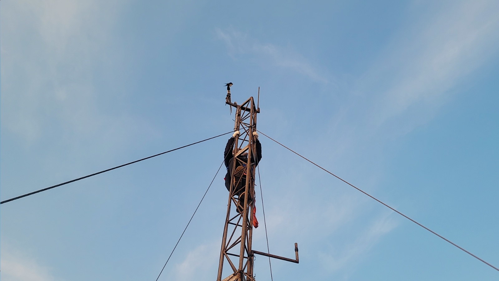 锦州中心渔港站-气象塔