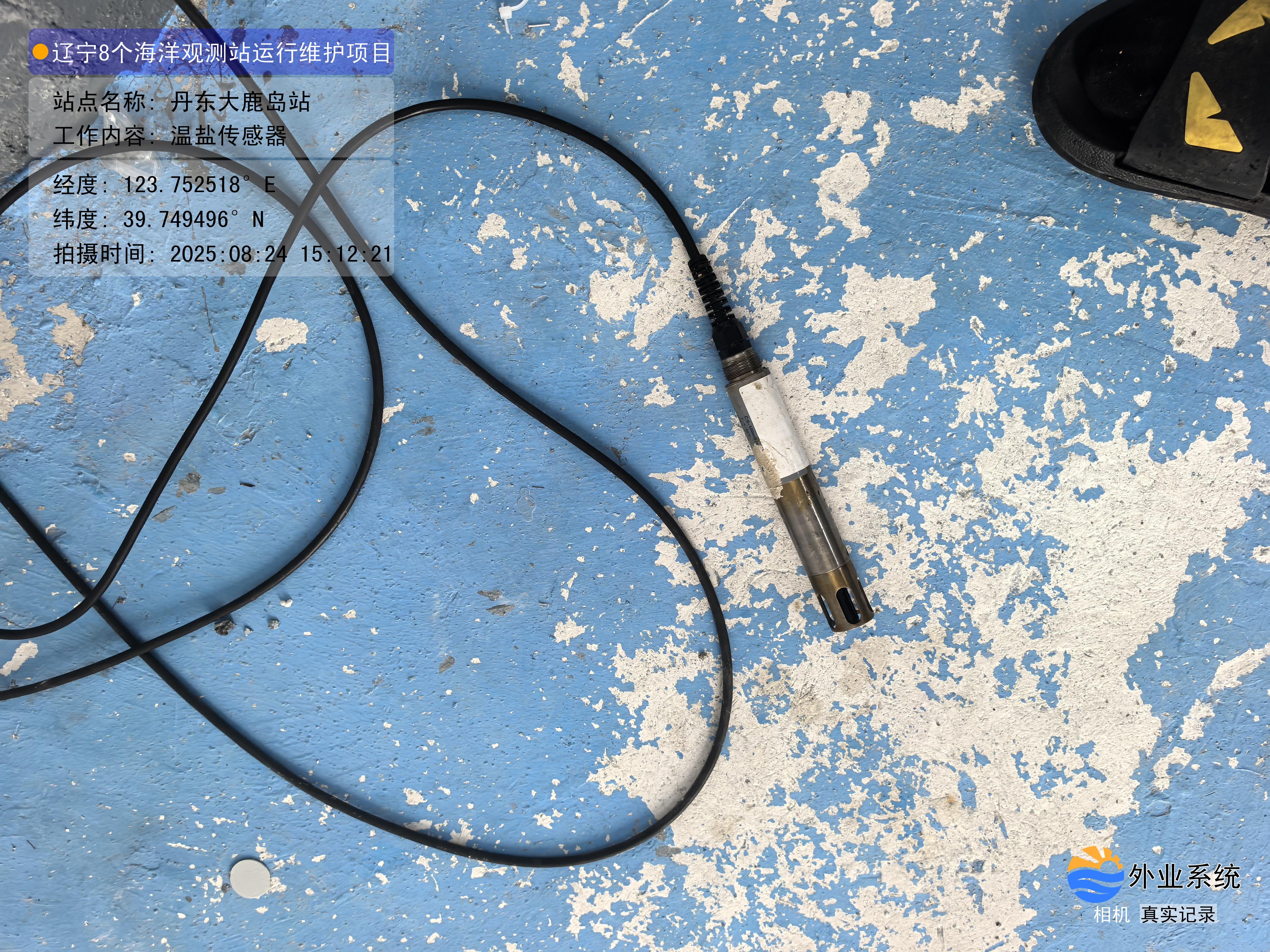 丹东大鹿岛站-温盐传感器
