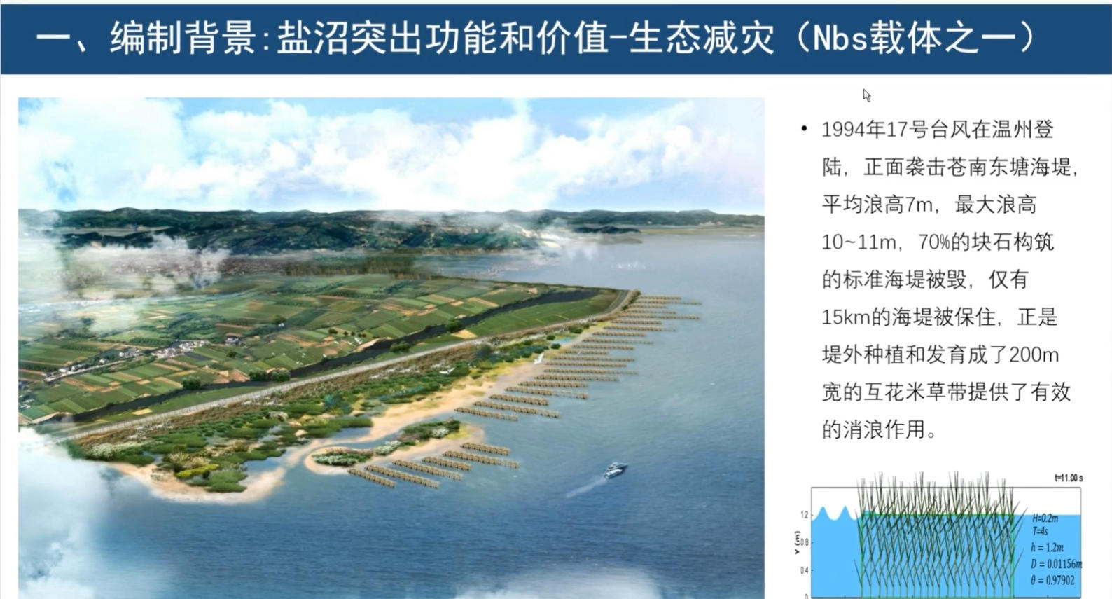 3-盐沼生态系统现状调查与评估-自然资源部第一海洋研究所高级工程师-王炜.mp4